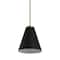 Hello Honey® Robert Stevenson Lighting Beckett Black & Brushed Gold Metal Ceiling Light with Shade